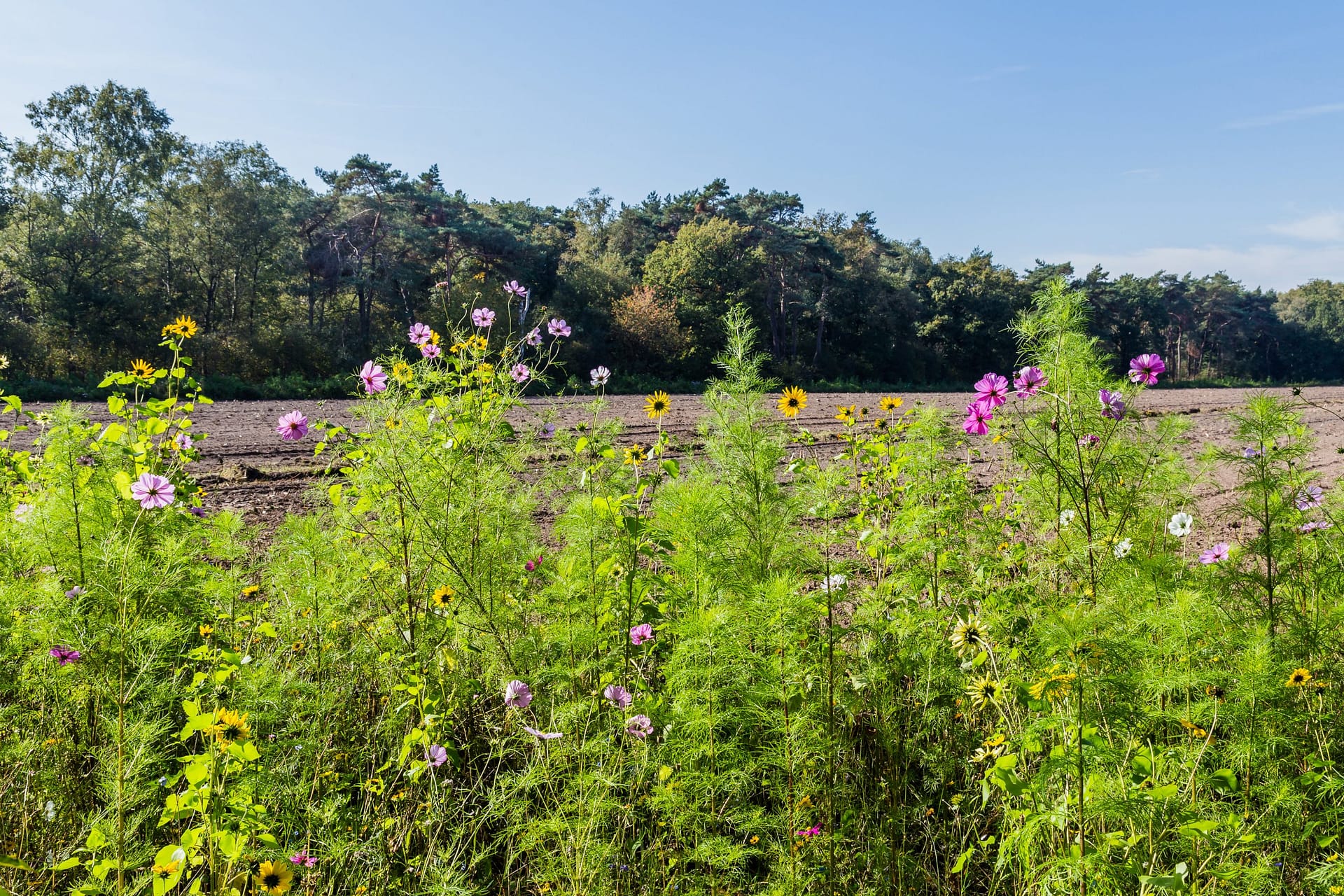 One of the key goals for Bel Group’s biodiversity strategy is to set robust, science-based targets for the improvement of biodiversity across its supply chain.