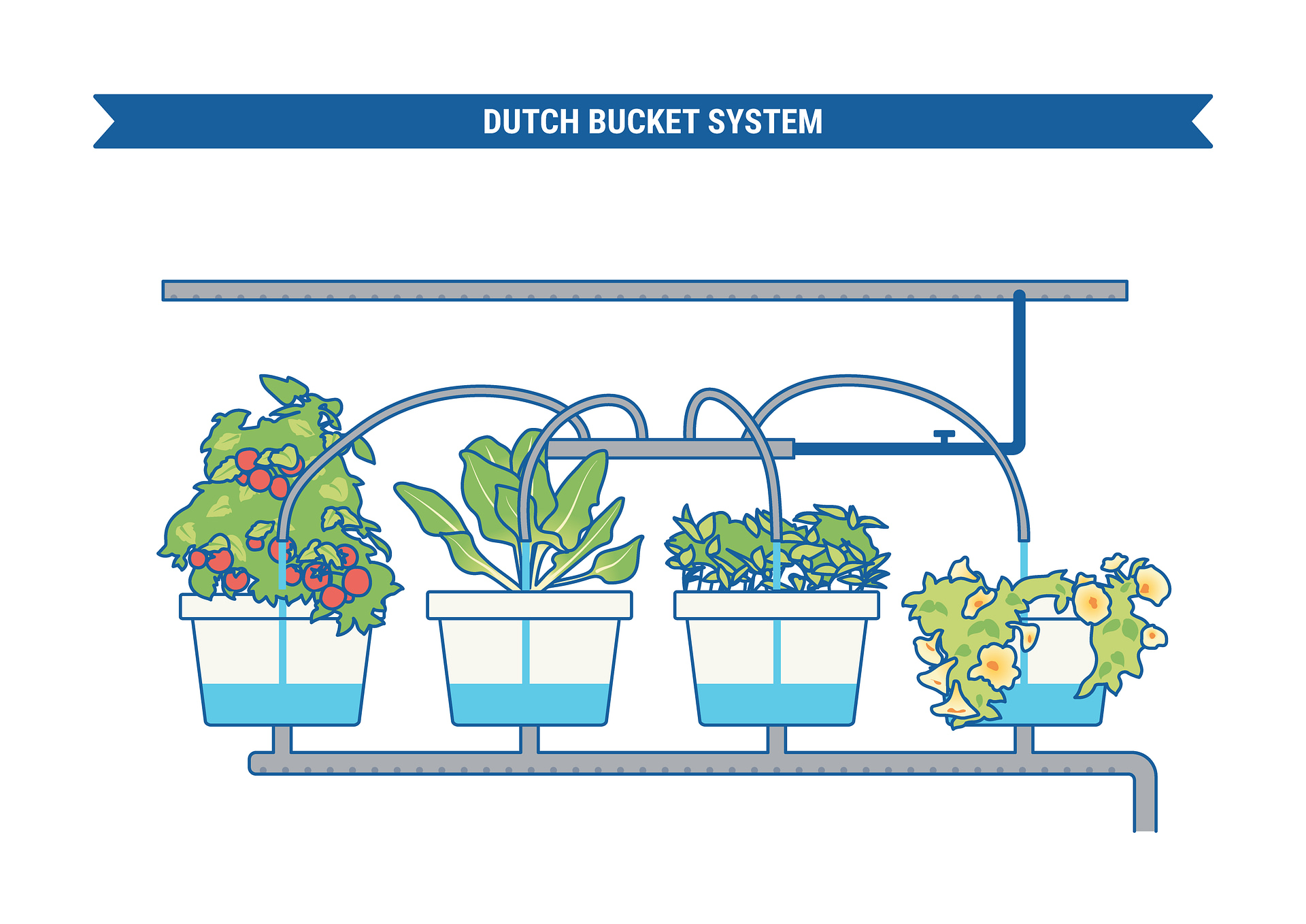 Six different methods are used to grow plants, such as edible flowers, leafy greens, hot peppers, and herbs.