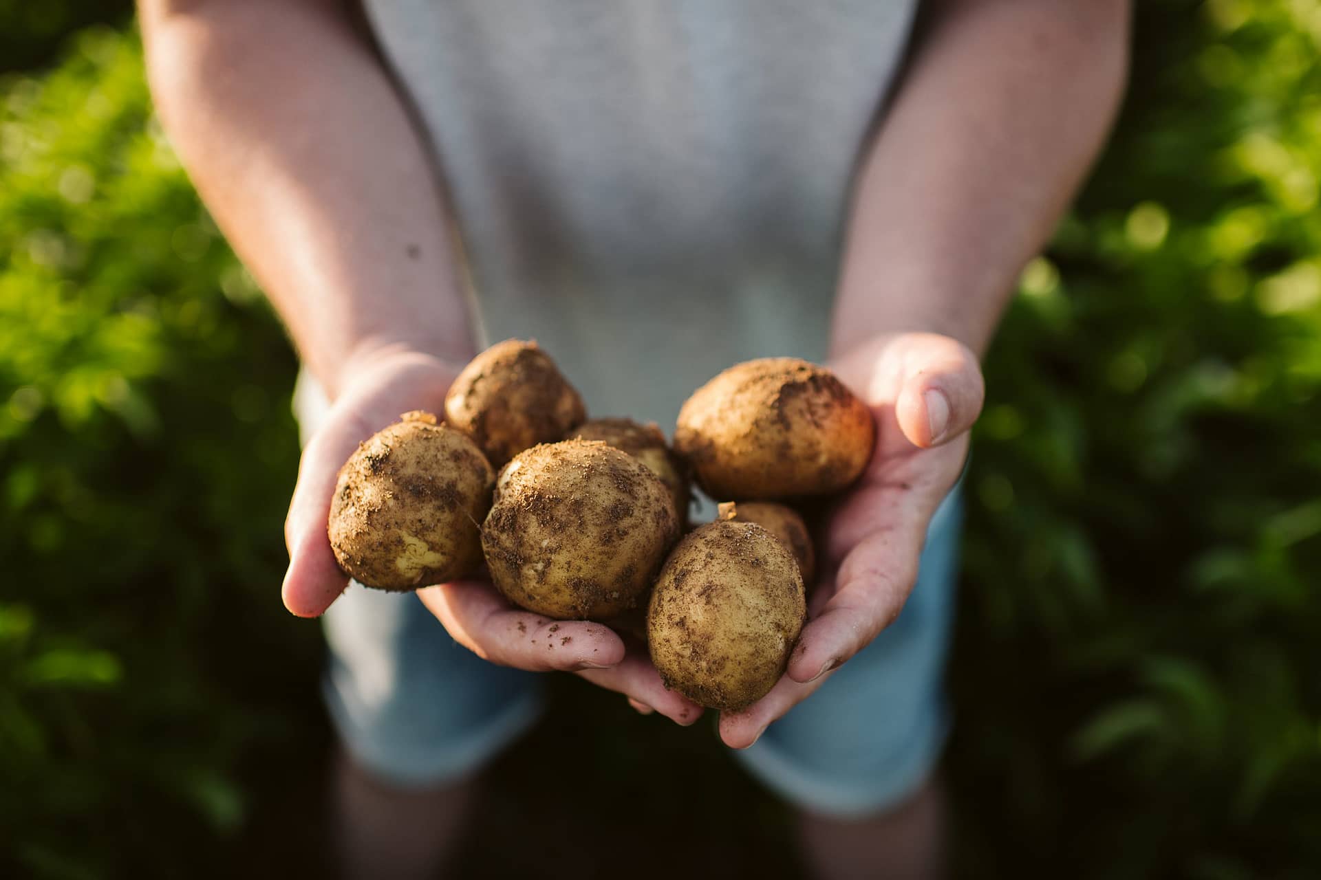 PepsiCo committed to transitioning to regenerative farming practices across 7 million acres, improve the livelihoods of 250,000 people in its agricultural supply chain, and sustainably source 100% of its key ingredients.