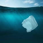 environmental impact of plastic bags