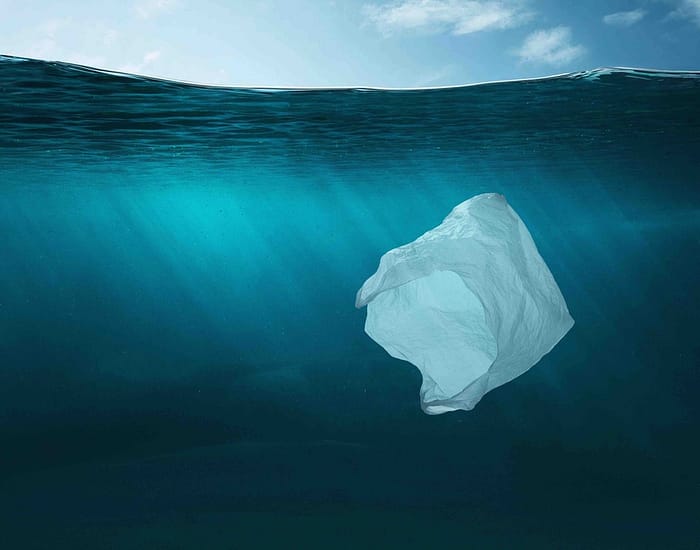 environmental impact of plastic bags